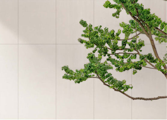 comprar Tejas de porcelana antigua blancas opacas 600x1200mm fabricación en línea
