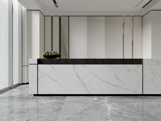 comprar Pedazos de piedra sinterizados para el salón 1420x2700mm fabricación en línea
