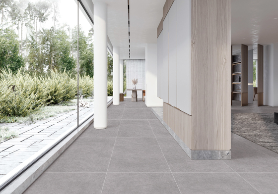 comprar Gris claro 48