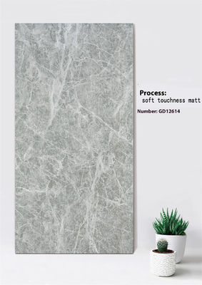 comprar Baldosa de fachada de arcilla gris claro 600x1200mm Tacto suave Mate fabricación en línea