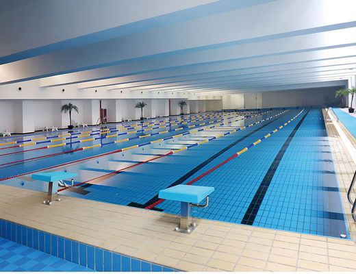 comprar S003 el Decking de cerámica del carril 24kg/Carton teja la piscina, teja esmaltada 115x240m m del borde fabricación en línea