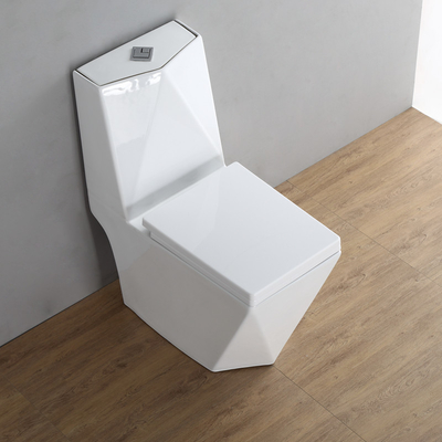 Baño de cerámica de una pieza con doble bajada