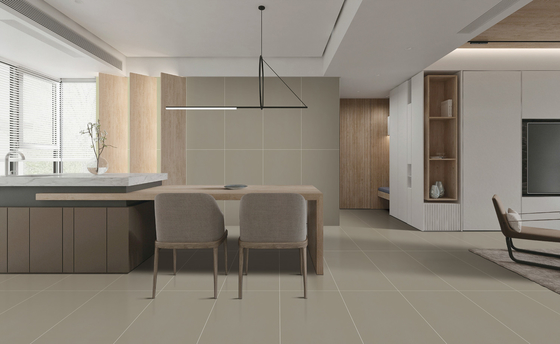Tejas de suelo de porcelana texturizada para dormitorio 60x120cm Esmaltado con estrellas SGS