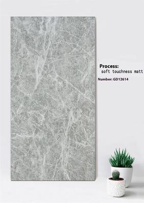 Marmol gris claro Resistente a los arañazos 600x1200mm Suavidad de la sensibilidad de la cortina exterior de la pared de la teja para el jardín