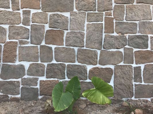 el SGS de 14m m cultivó el ladrillo de la piedra decorativo para ajardinar de la pared del jardín